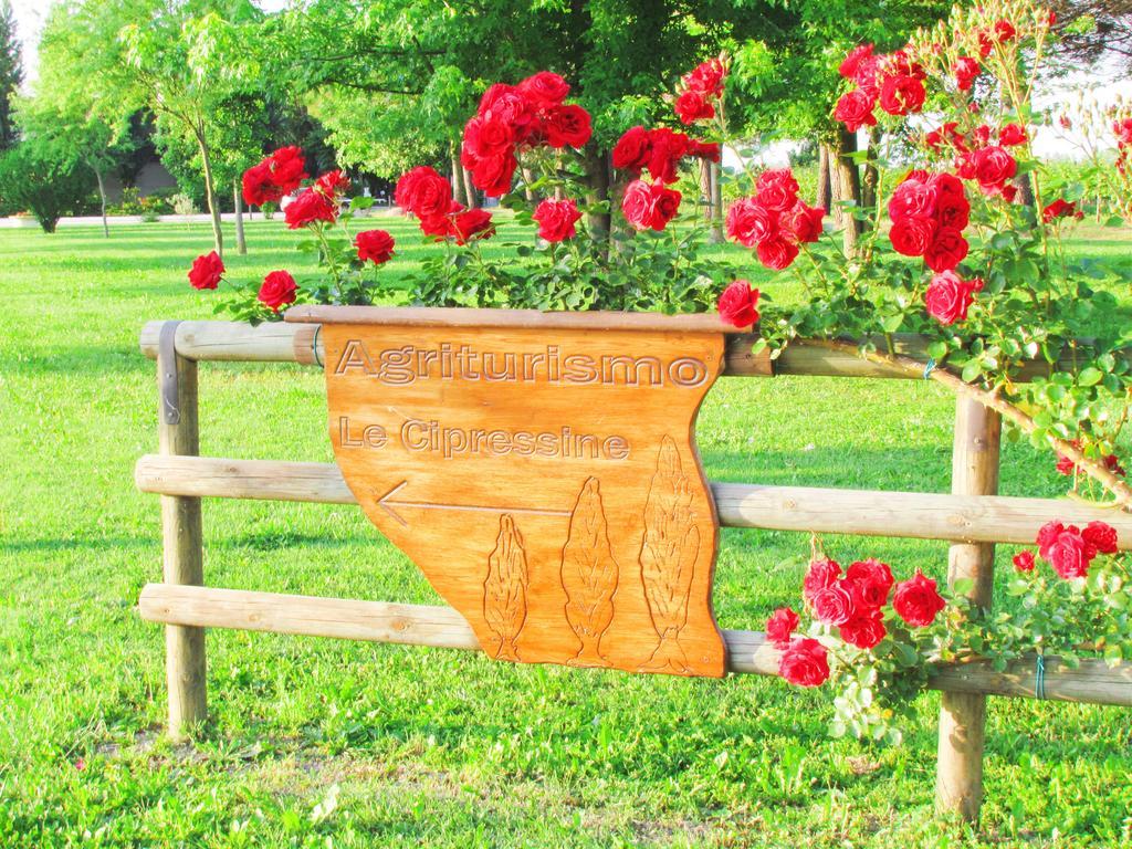 Agriturismo Le Cipressine Meolo Buitenkant foto