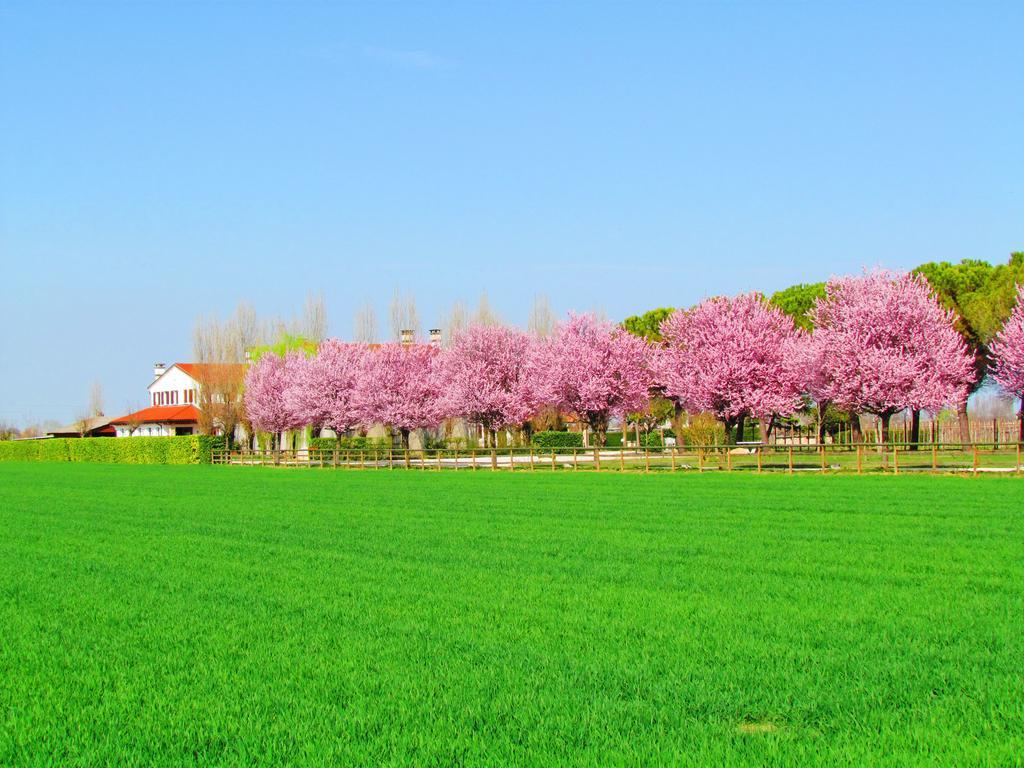 Agriturismo Le Cipressine Meolo Buitenkant foto