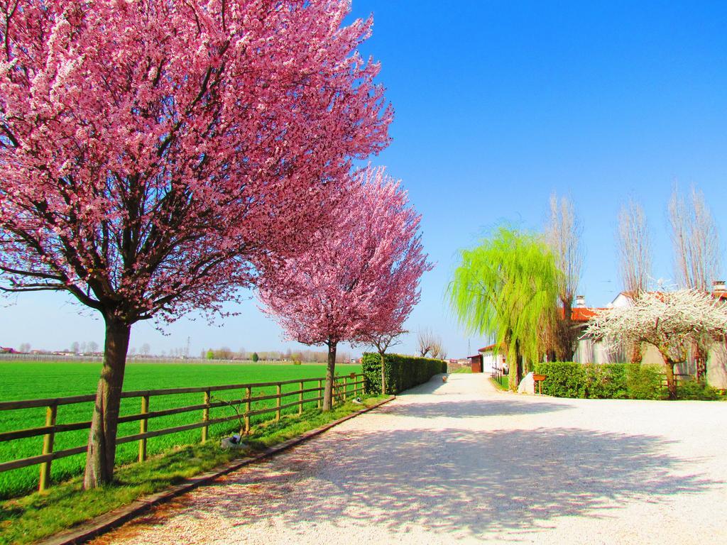 Agriturismo Le Cipressine Meolo Buitenkant foto